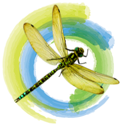 Voice of the River dragonfly logo
